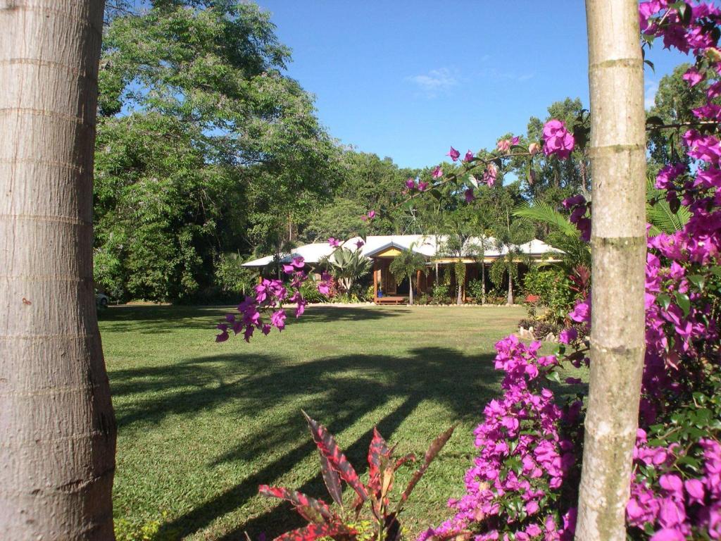 Hibiscus Lodge Bed & Breakfast Wongaling Beach Exterior foto